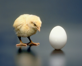 【寫作教學】先有雞還是先有蛋？主題與主線的互補法